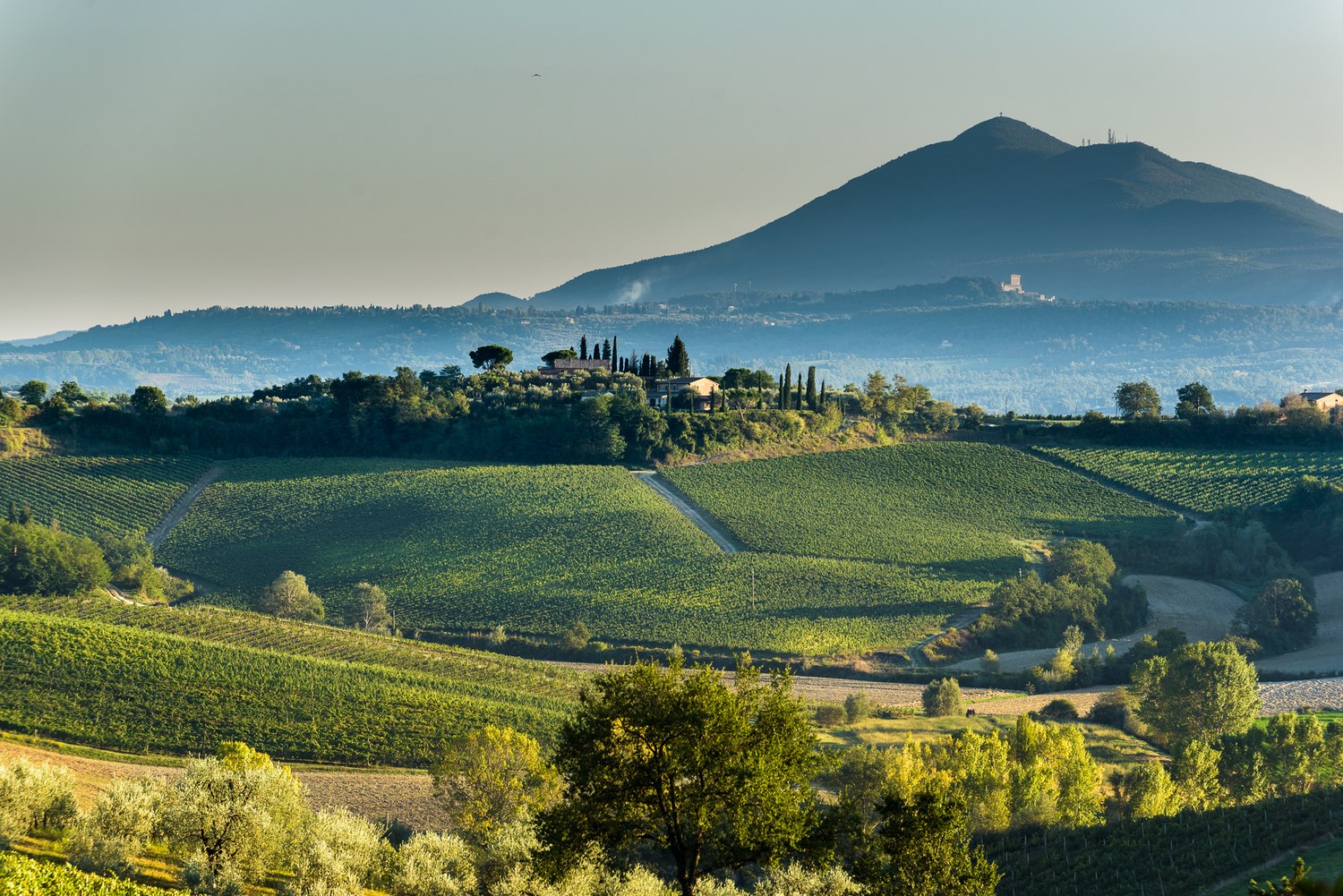 web-la-casa-delle-querce-966